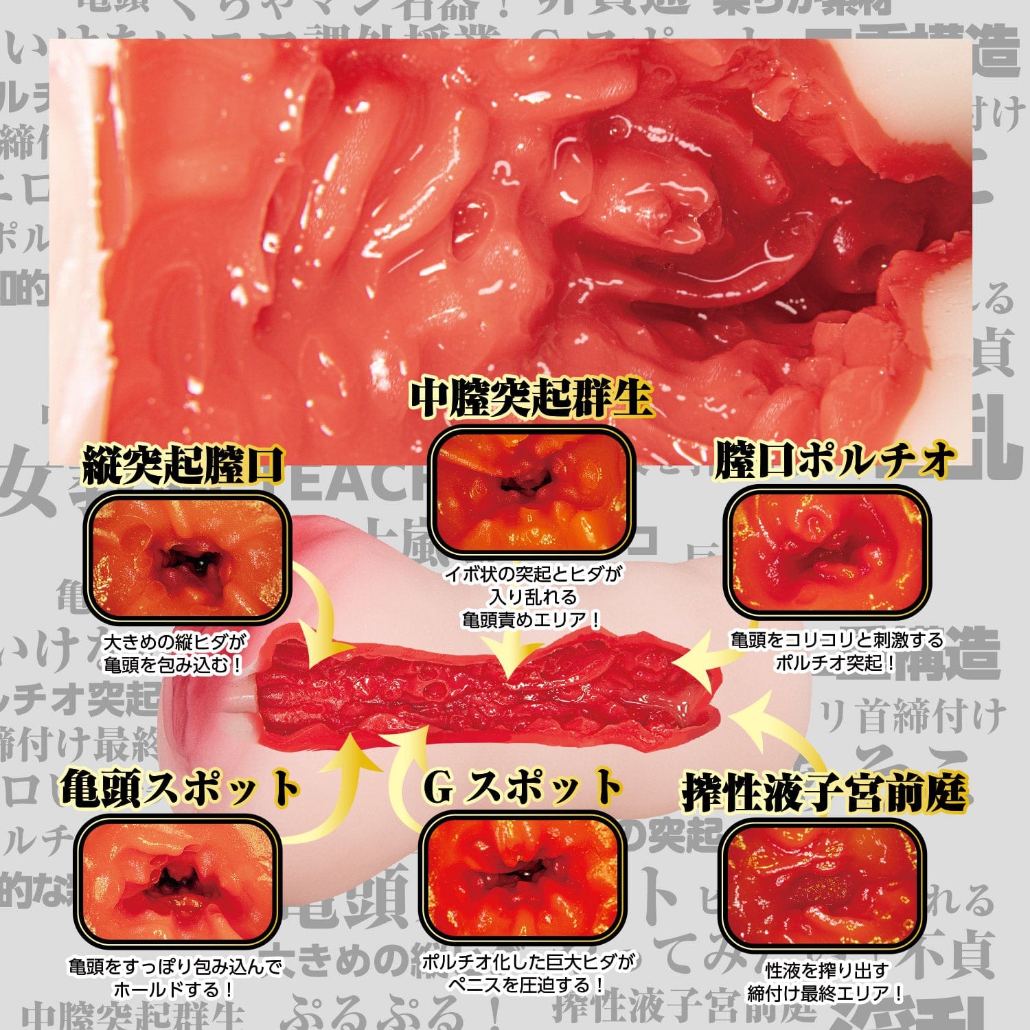 NPG - New Female Teacher Sex Natsu Igarashi Onahole (Beige) Masturbator Vagina (Non Vibration) 4562160139052 CherryAffairs