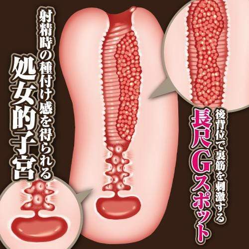 ToysHeart - The Alchemist of Ars Magna Celestine Megistus Onahole (Beige) Masturbator Vagina (Non Vibration) 506699027 CherryAffairs