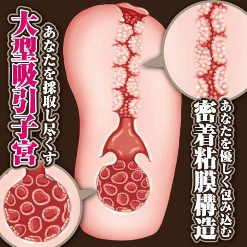 ToysHeart - The Alchemist of Ars Magna Sonia Gerbera Onahole (Beige) Masturbator Vagina (Non Vibration) 506696944 CherryAffairs