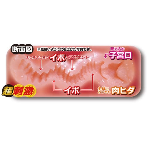 Toysheart - Erotic Sister Hard Eroane Onahole (Beige) Masturbator Vagina (Non Vibration) 4526374913341 CherryAffairs