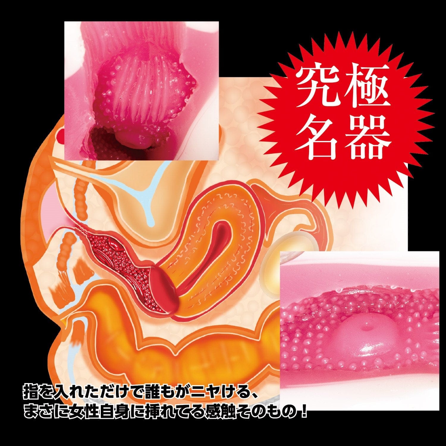 NPG - The Dignity of a Masterpiece Black Label Meiki Onahole (Beige) Masturbator Vagina (Non Vibration) 620220936 CherryAffairs