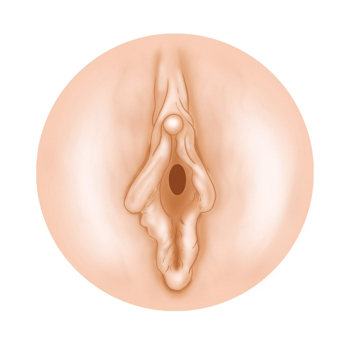 NPG - AV Ona Cup 018 Cup Masturbator Onahole Riho Fujimori (Beige) Masturbator Non Reusable Cup (Non Vibration) 4562160138772 CherryAffairs