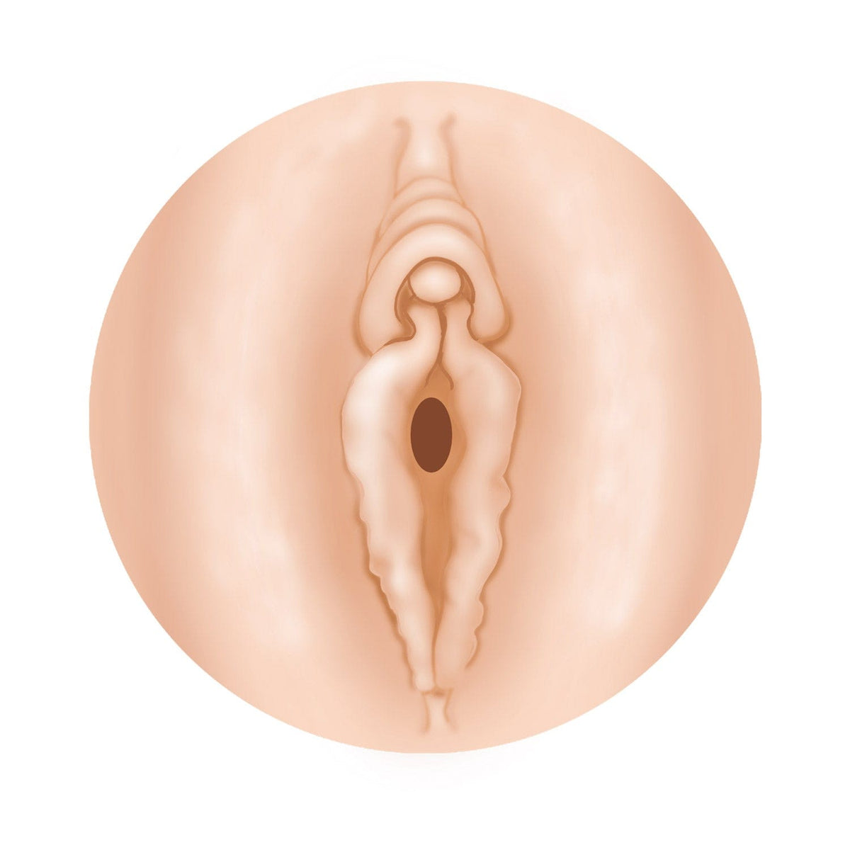 NPG - AV Ona Cup 019 Cup Masturbator Onahole Akari Mitani (Beige) Masturbator Non Reusable Cup (Non Vibration) 4562160138789 CherryAffairs