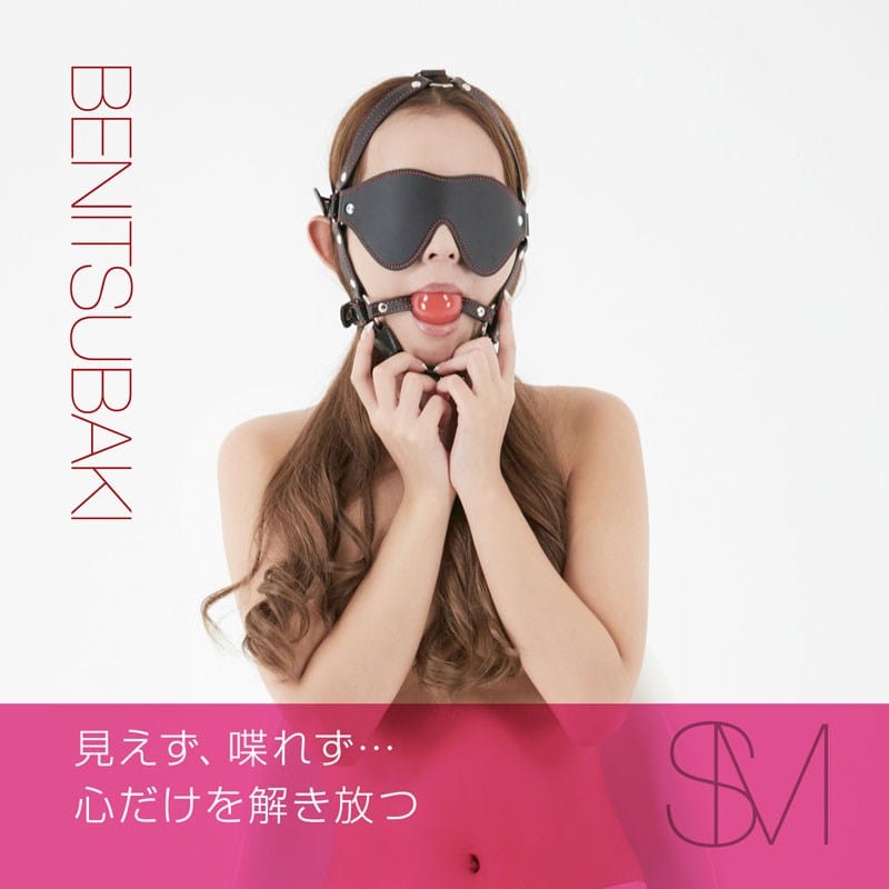 NPG - Benitsubaki Ball Gag with Blindfold Set (Black) Mask (Blind) 620220057 CherryAffairs