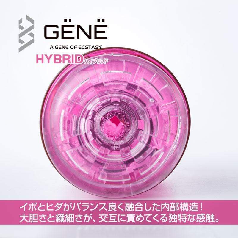 Kuudom - Gene of Ecstasy Hybrid Masturbator Cup (Purple) Masturbator Resusable Cup (Non Vibration) 4571355630229 CherryAffairs