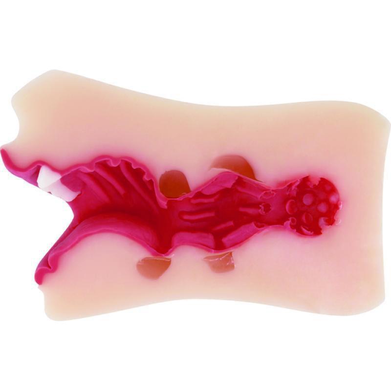 KMP - Demon Lusty Lips Blow Job May Matsumoto Onahole (Beige) Masturbator Mouth (Non Vibration)