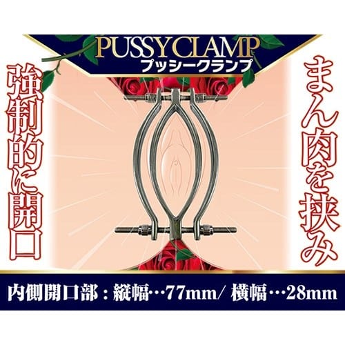A One - Pussy Clamp (Silver) Clitoral Clamps 4573432995207 CherryAffairs