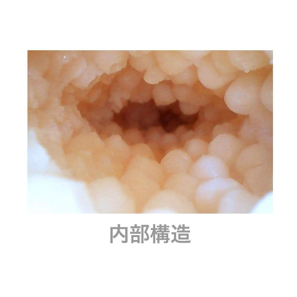 SSI Japan - Real body Julia Doll 20kg (Beige) Doll 324161318 CherryAffairs