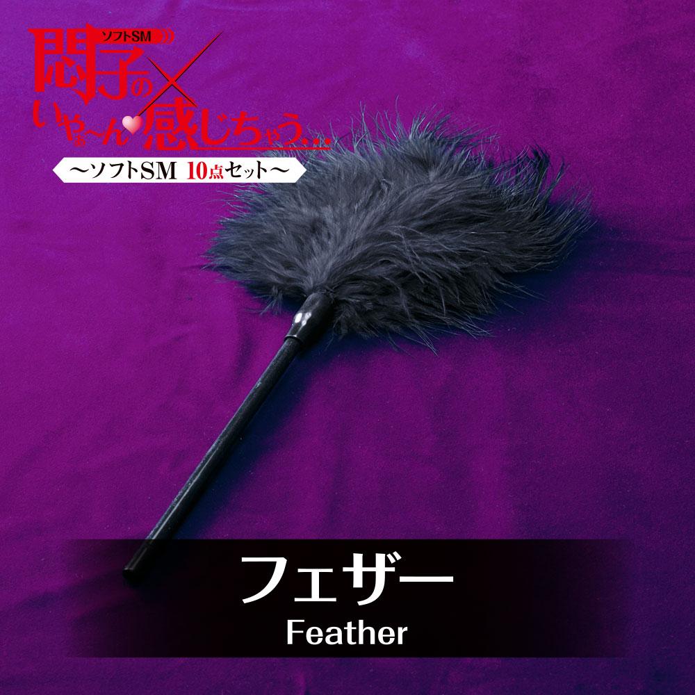 T-Best - Soft 10 Pieces BDSM Set (Black) BDSM Set 4582593593146 CherryAffairs