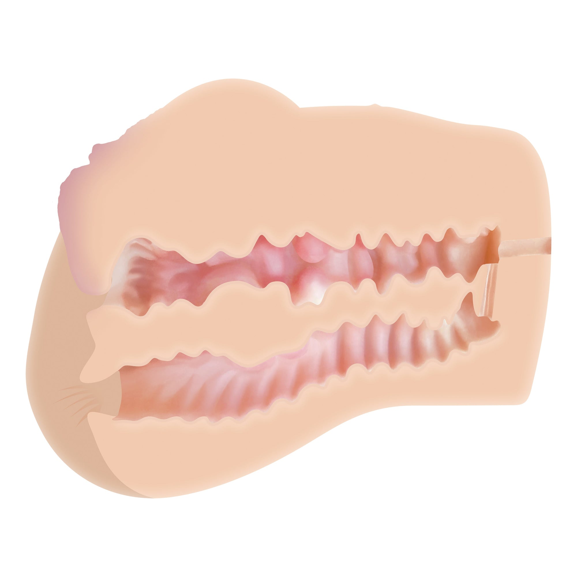 Zero Tolerance - Dani Daniels Realistic Ass and Vagina Stroker Masturbator (Beige) - Beige - Masturbator Vagina