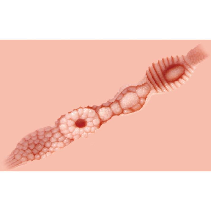 Kokos - Aurora Mini Doll Meiki (Beige) Doll - CherryAffairs Singapore