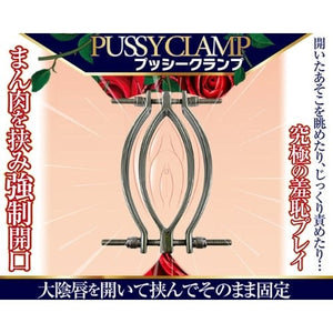 A One - Pussy Clamp (Silver) Clitoral Clamps 4573432995207 CherryAffairs