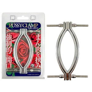 A One - Pussy Clamp (Silver) Clitoral Clamps 4573432995207 CherryAffairs