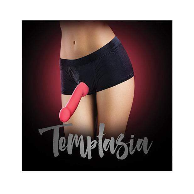 Blush Novelties - Temptasia Strap On Harness Briefs S (Black) Strap On w/o Dildo 819835021872 CherryAffairs