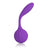 California Exotics - Silhouette S8 Rechargeable G Spot Vibrator (Purple) G Spot Dildo (Vibration) Rechargeable Singapore