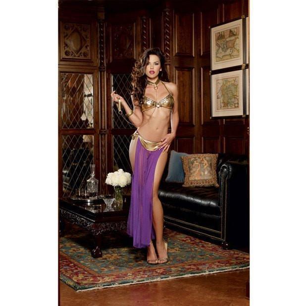 Dreamgirl - 3 Piece Halter Bra with Coin Trim, Thong with Attached Mesh Skirt &amp; Neck Collar with Chain Leash One Size (Gold/Purple) Costumes Durio Asia