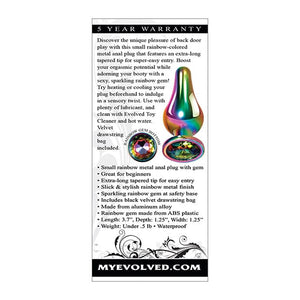 Evolved - Rainbow Metal Anal Plug Small (Silver) Metal Anal Plug (Non Vibration) 625514383 CherryAffairs