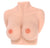 Kokos - Titties C Chest Meiki (Beige) Masturbator Breast (Non Vibration) - CherryAffairs Singapore