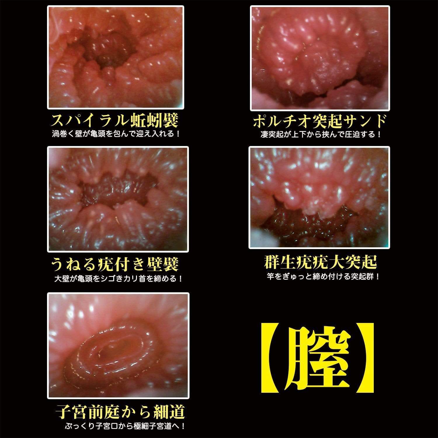 NPG - 2 Hole Futa Ana Punipuni Inmai Meiki Onahole (Beige) Masturbator Vagina (Non Vibration) 4562160136716 CherryAffairs