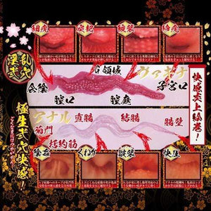 NPG - Nipporhban Shinsei Gokujyou Namagoshi Dual Layer Extreme Pleasure Hips Masturbator 5.4kg (Beige) Masturbator Vagina (Non Vibration) 4562160135832 CherryAffairs