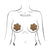 Pastease - Basic Daisy Pasties Nipple Covers O/S (Tan) Nipple Covers 785123871323 CherryAffairs