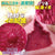 Ride Japan - Big Bounce Polnista Onahole (Pink) Masturbator Ass (Non Vibration) 4562309512470 CherryAffairs